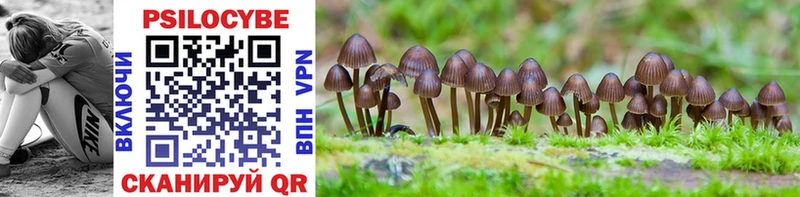 Галлюциногенные грибы GOLDEN TEACHER  МЕГА сайт  Тольятти  что такое  
